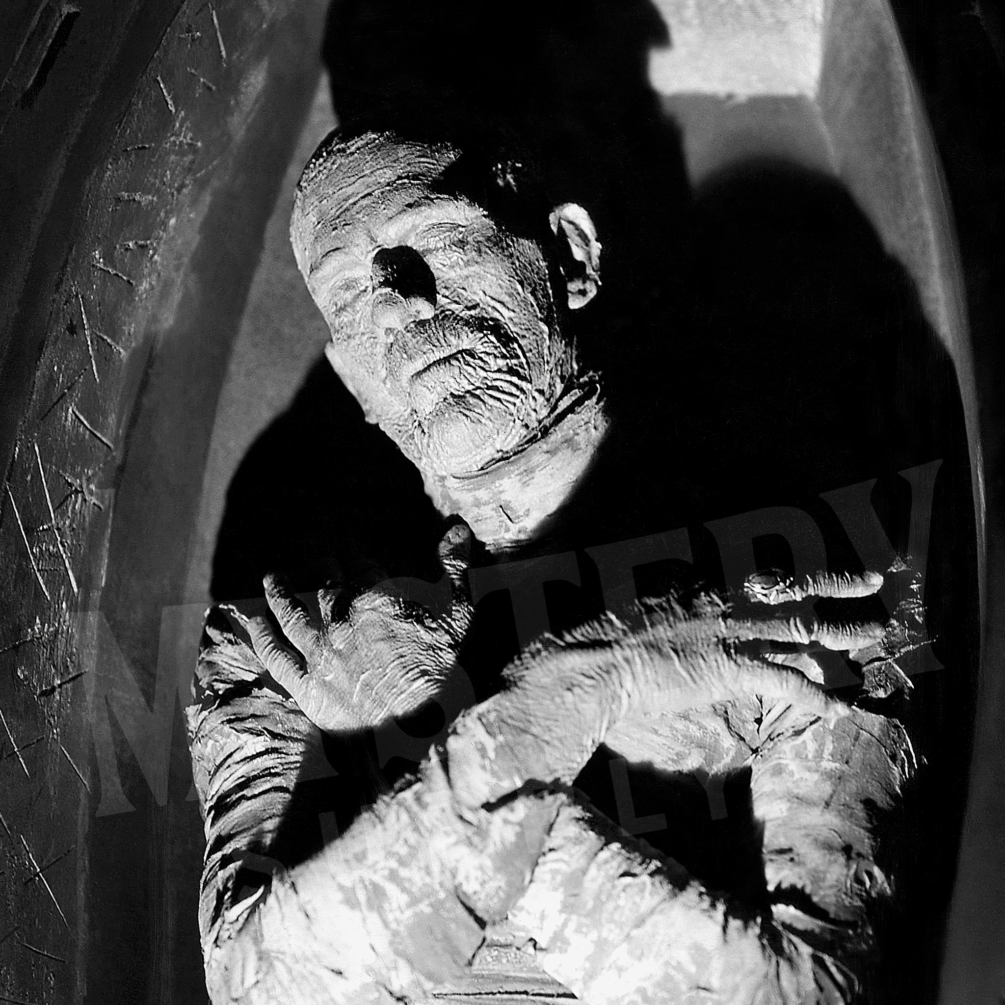 The Mummy 1932 Vintage Horror Movie Boris Karloff Coffin Photo