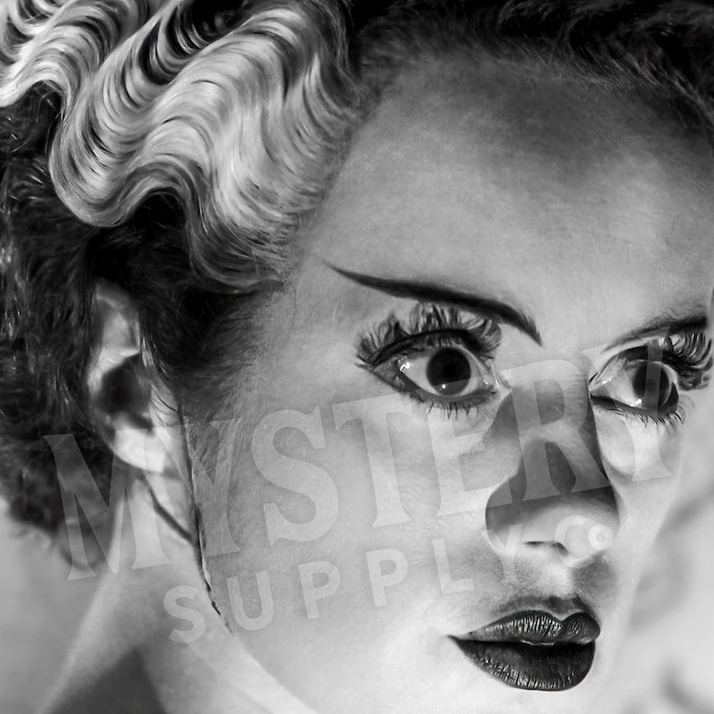 Bride of Frankenstein 1935 Vintage Horror Movie Monster Black and White Dramatic Photo reproduction from Mystery Supply Co. @mysterysupplyco