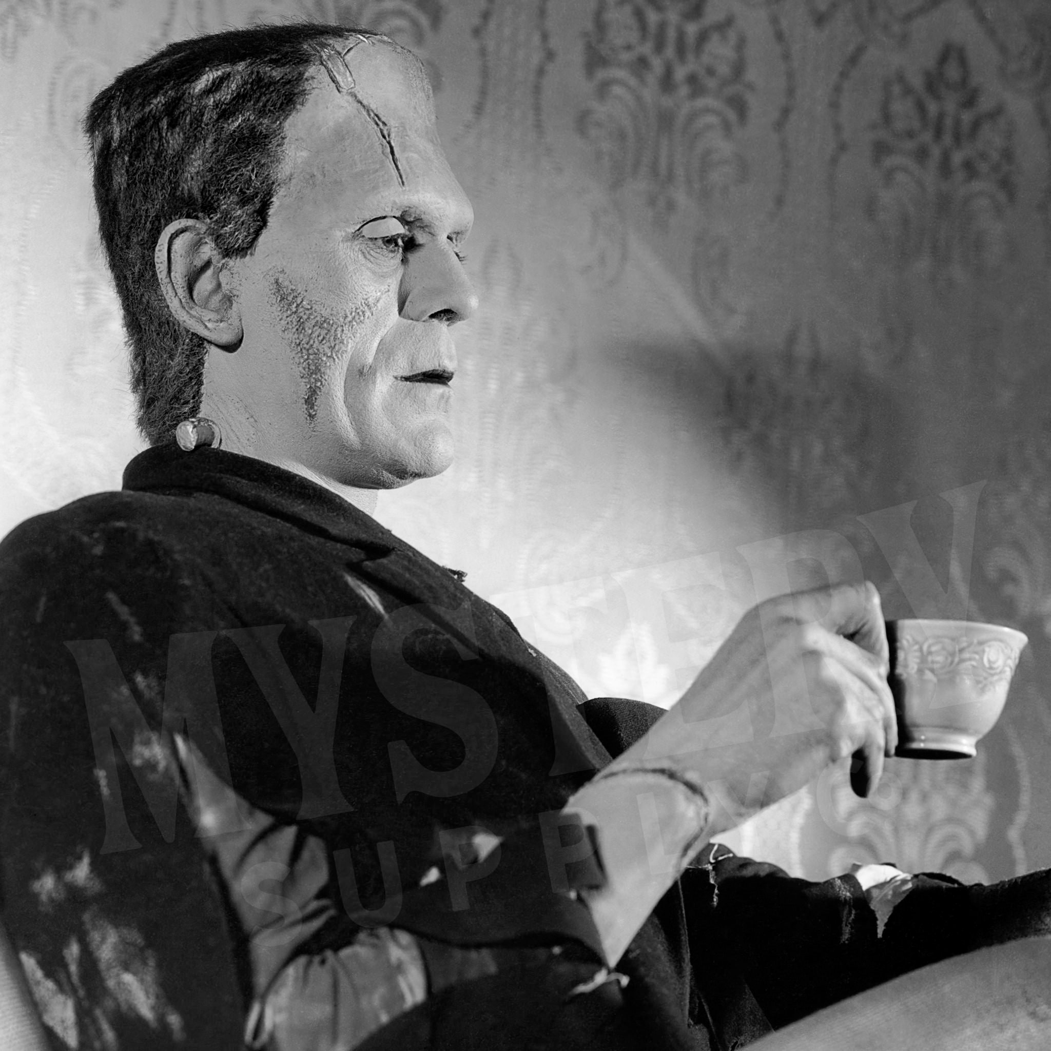 Frankenstein Smoking Drinking Tea Coffee Vintage Horror Movie