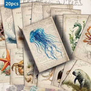 Può includere: Una collezione di 20 fogli di carta in stile vintage con illustrazioni marine. I fogli presentano immagini di meduse, cavallucci marini, stelle marine e granchi, con testo manoscritto e texture di carta invecchiata. L'angolo in alto a sinistra ha il testo "20pcs".
