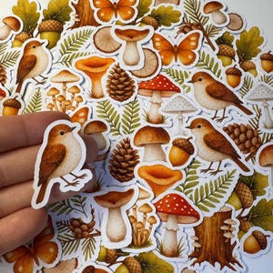 Könnte beinhalten: Eine Sammlung skurriler Aufkleber mit Waldtieren und -elementen. Die Aufkleber enthalten Illustrationen von Vögeln, Pilzen, Eicheln, Schmetterlingen und Tannenzapfen in Braun-, Orange- und Grüntönen. Die Aufkleber befinden sich auf einem weißen Hintergrund.