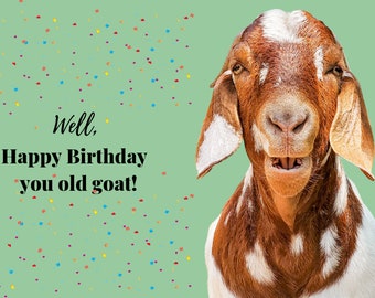 Unique Farm Animal Cards Prints Signs More Par Baghdadtobarnyard