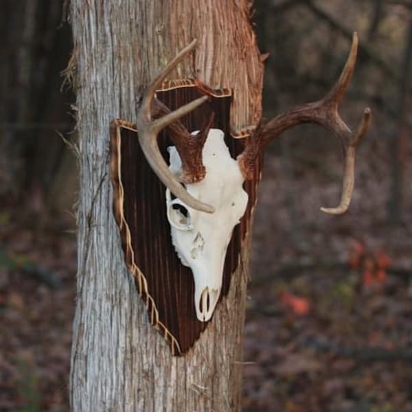 Arrowhead European Plaque