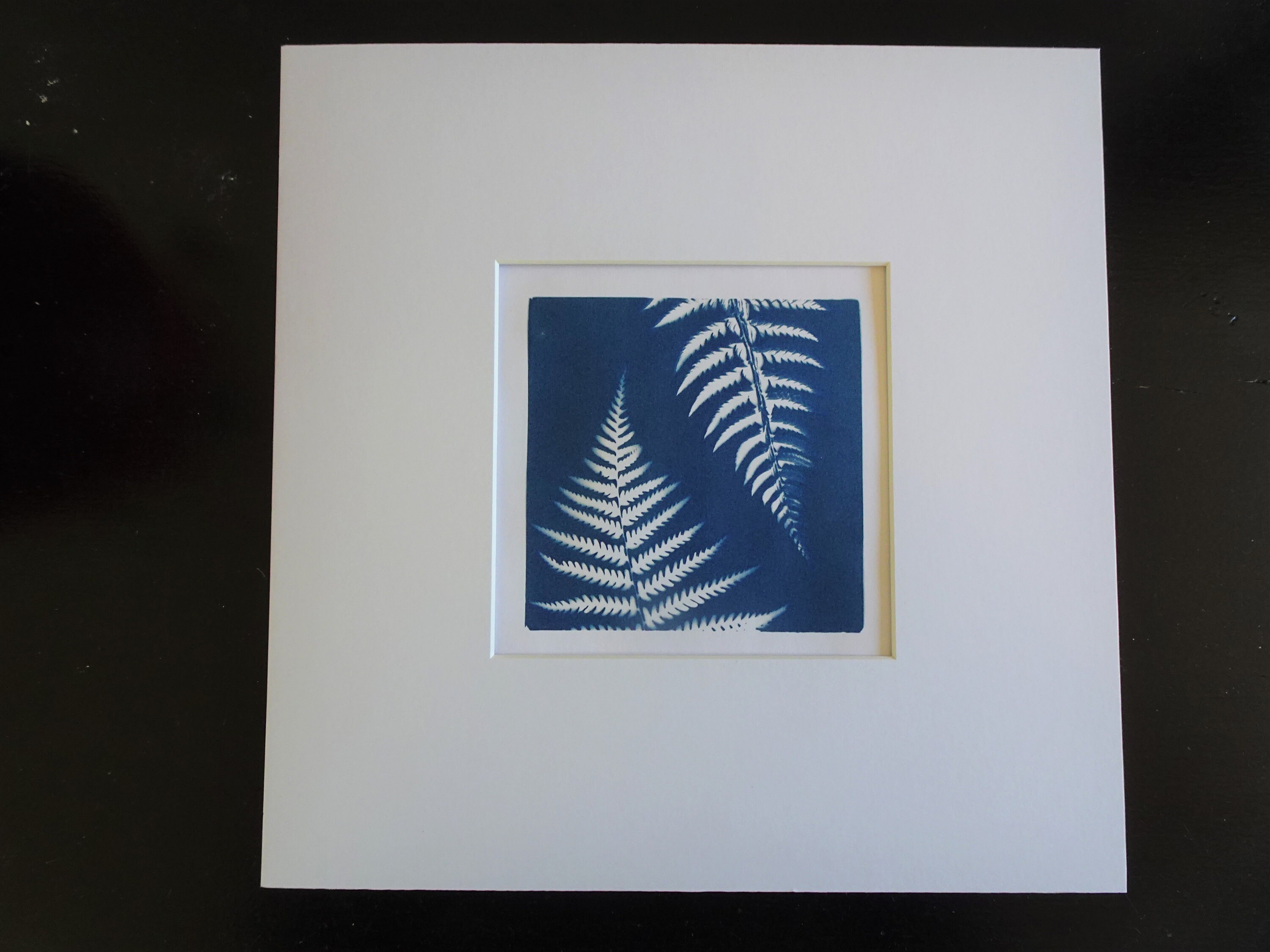 Cyanotype Original Réalisé à La Main, Fougère Pour Décoration Murale