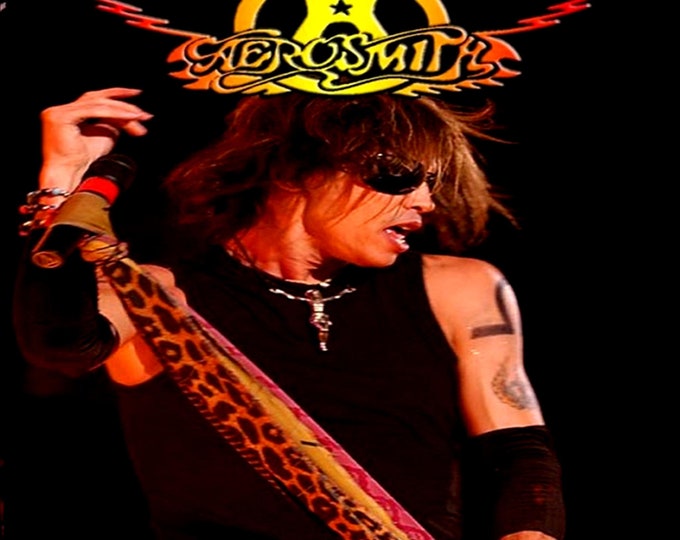 Aerosmith " LIVE IN JAPAN 2002 " dvd
