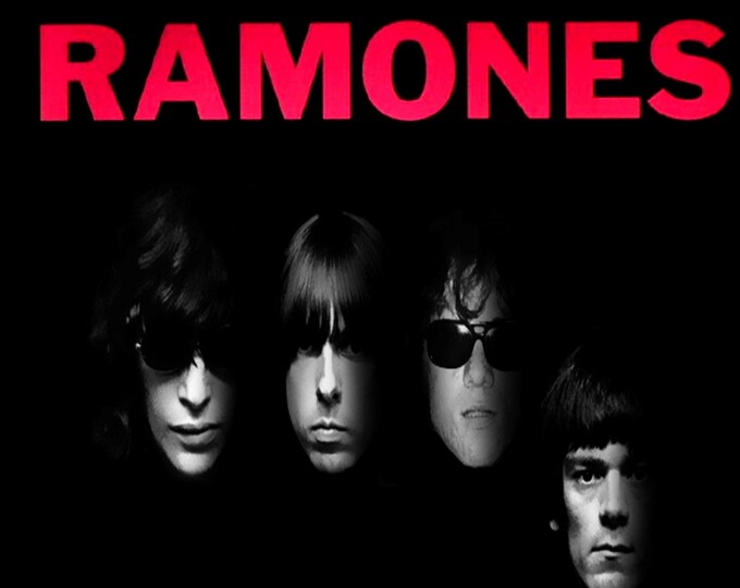 The Ramones " The Video Collection " dvd