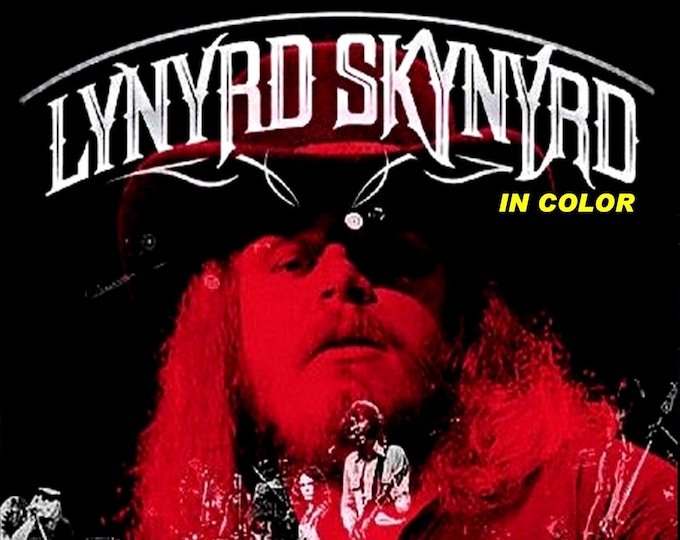 Lynyrd Skynyrd " Live Winterland 1976 Color Version " dvd