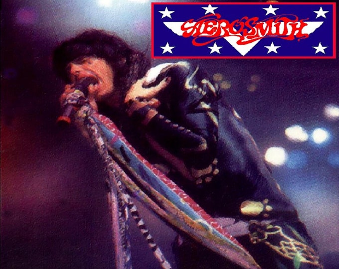 Aerosmith " PERMANENT VACATION TOUR '88 " Live At The Summit dvd