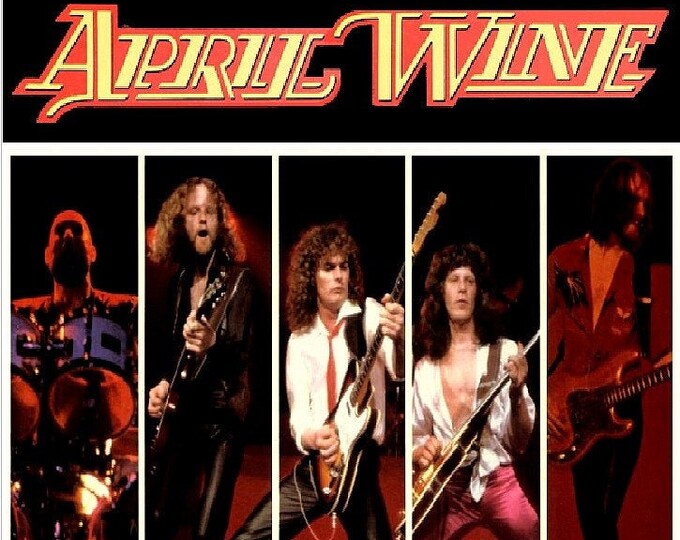 April Wine " LIVE IN CONCERT '82 " dvd/ Only For Collectors Quality 8.5/10