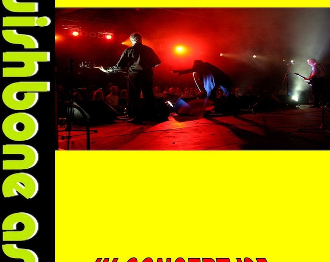 Wishbone Ash " In Concert 1995 " 2 dvds/Only For Collectors Quality 8/10