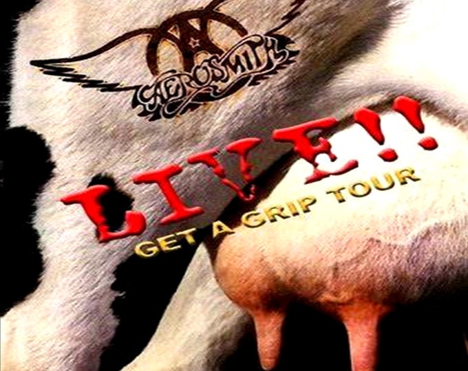 Aerosmith " Get a Grip Tour in Chicago '94 " 2 dvds