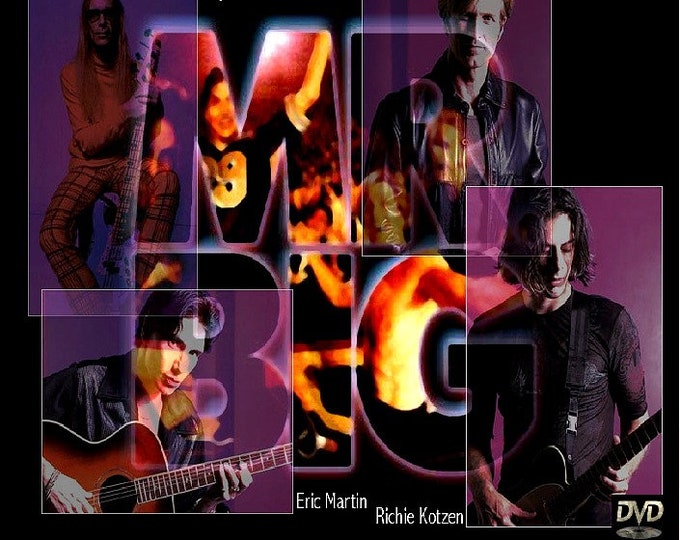 MR BIG " Live in California '99 " dvd