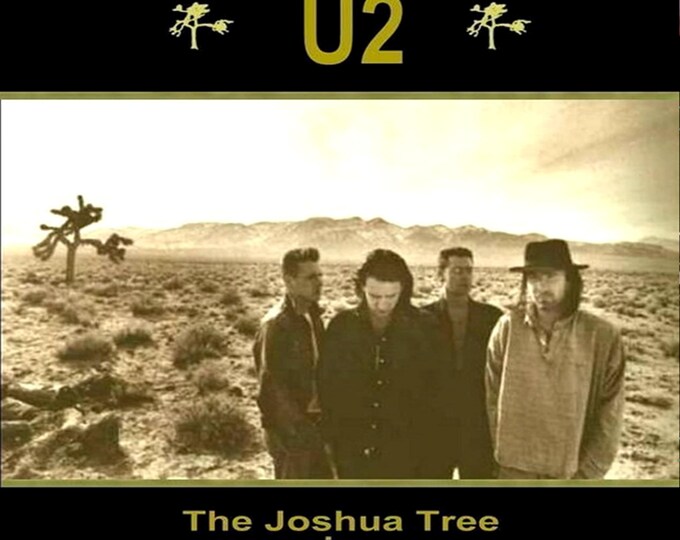 U2 " LIVE IN SYRACUSE 1987 " dvd