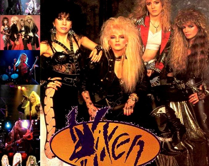 Vixen " The Ultimate Collection 1988 - 2004 " 2 dvds/Only For Collectors Quality 8/10