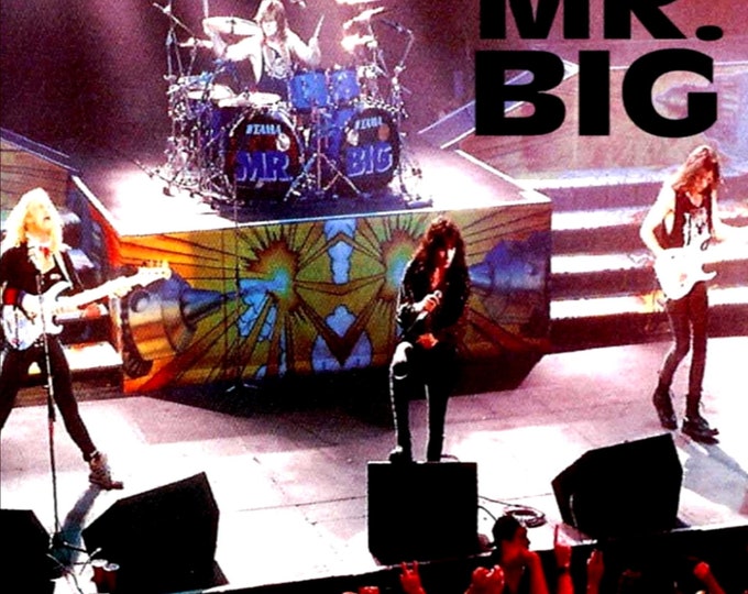 MR BIG " Live in San Francisco '92 " dvd