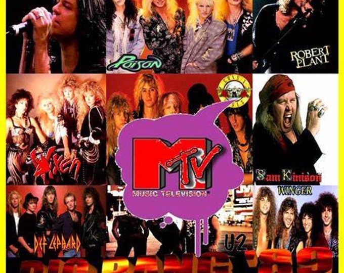 MTV Big Bang '89 " Vixen,Poison,Winger,Plant & More " dvd