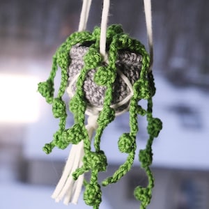 Crochet hanging plant -  Österreich