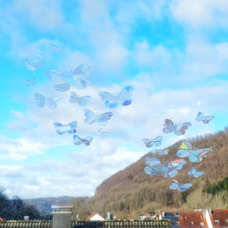 Set of 19: Butterfly Suncatcher, Butterflies, Suncatchersticker, Rainbowmaker, Windowdecal, Suncatcherdecal, window sticker, suncatcher image 3