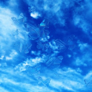 Set of 19: Butterfly Suncatcher, Butterflies, Suncatchersticker, Rainbowmaker, Windowdecal, Suncatcherdecal, window sticker, suncatcher image 6
