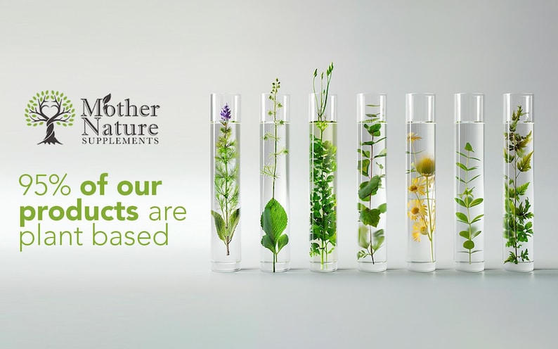 10 Billion CFU Probiotics Complex: 15 Active Vegan Cultures imagen 8