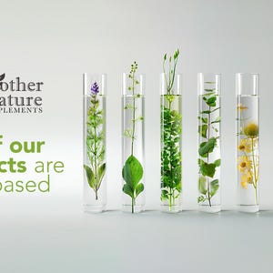 May include: Image shows clear glass test tubes containing water and different plants. The text reads "Mother Nature Supplements" and "95% of our products are plant based."
