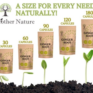 Puede incluir: Un tama&ntilde;o para cada necesidad, &iexcl;naturalmente! C&aacute;psulas de ra&iacute;z de jengibre Mother Nature en bolsas de papel marr&oacute;n de diferentes tama&ntilde;os: 30, 60, 90, 120 y 180 c&aacute;psulas. Las bolsas est&aacute;n dispuestas en una fila de la m&aacute;s peque&ntilde;a a la m&aacute;s grande, con un brote que crece desde el suelo junto a cada bolsa.