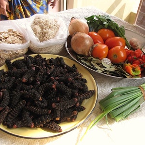 Dry Congo MBINZO/ Dried Edible Caterpillars