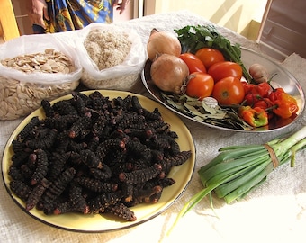 Dry Congo MBINZO/ Dried Edible Caterpillars