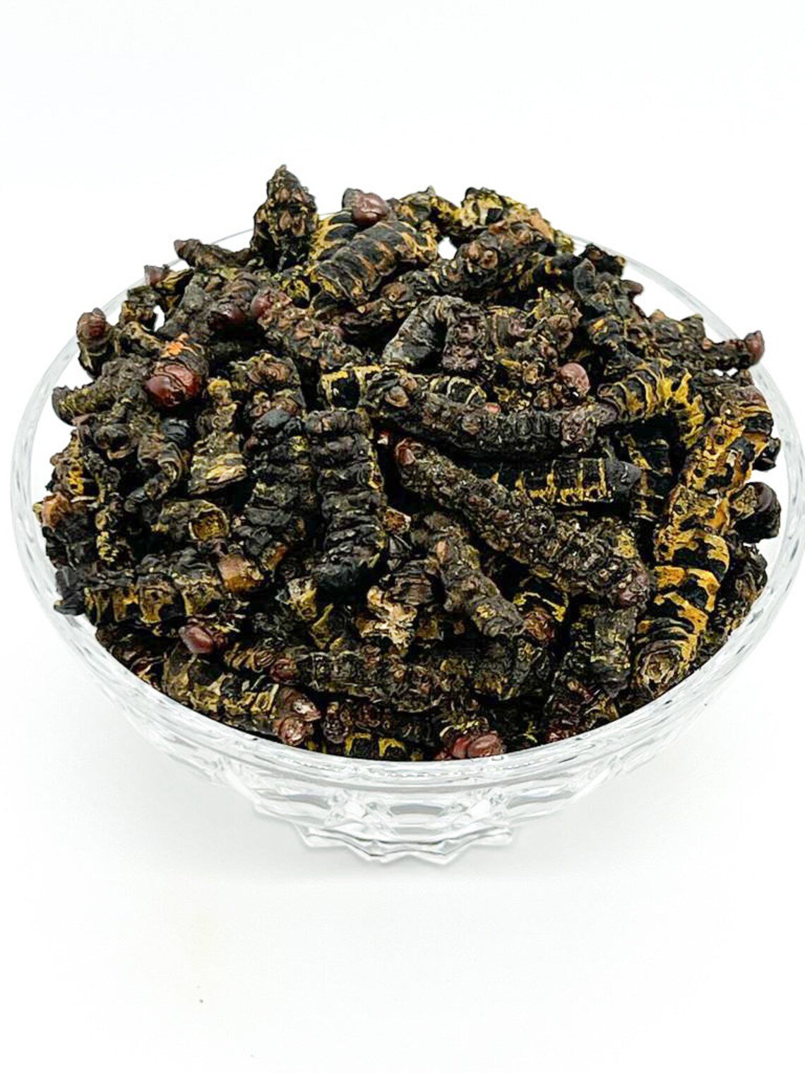 Dry Congo MBINZO/ Dried Edible Caterpillars Etsy