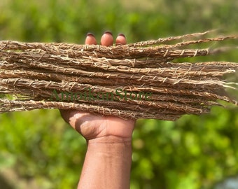 Gongolili/ Khus Khus/ Organic Vetiver Root/ 5, 10 and 20 Stems