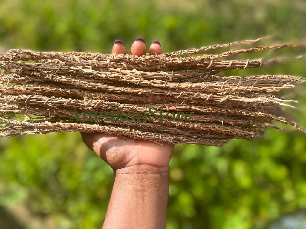 Gongolili/ Khus Khus/ Organic Vetiver Root/ 5, 10 and 20 Stems