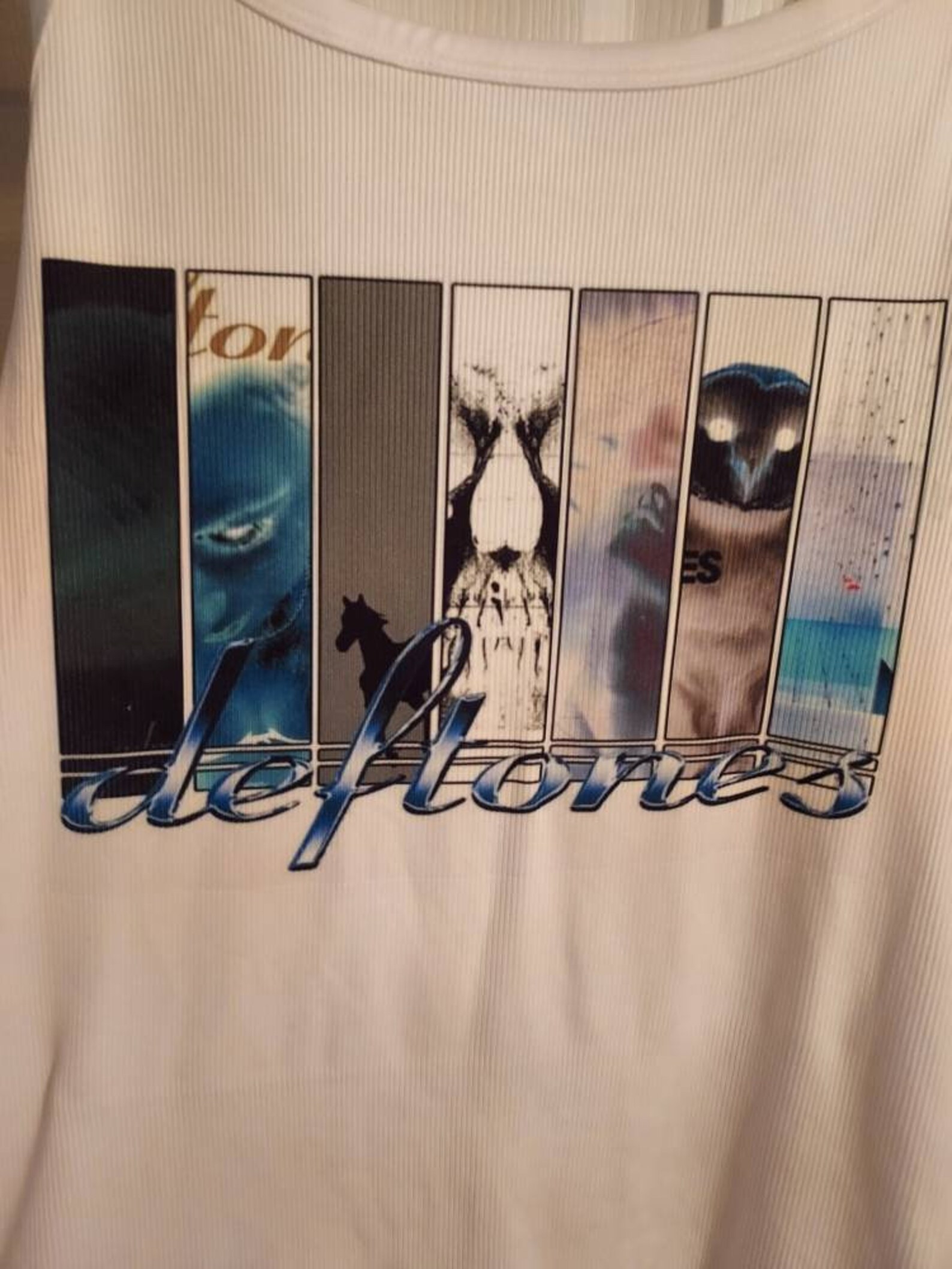 Deftones Crop Top Around the Fur Album Etsy
