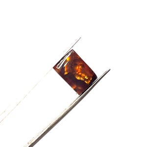 May include: A rectangular gemstone with a dark brown and orange pattern is held by silver tweezers against a white background. The gemstone has a polished, translucent appearance, showcasing internal details.