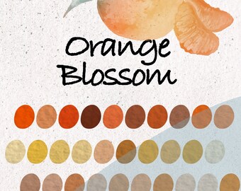Orange Blossom Procreate Swatches - 30 Bright Vibrant Orange Lemon Mandarin Colors for Procreate - Summer Citrus Fruits Procreate Palette