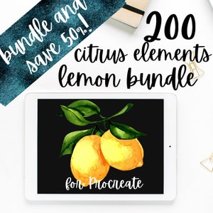 200 Citrus Lemon Procreate-bundel. Waterverf Citroen Procreëer Penseel, Bladeren, Bloem, Limoen, Sinaasappel, Grapefruit, Mandarijn Stempel, Kleurstaal
