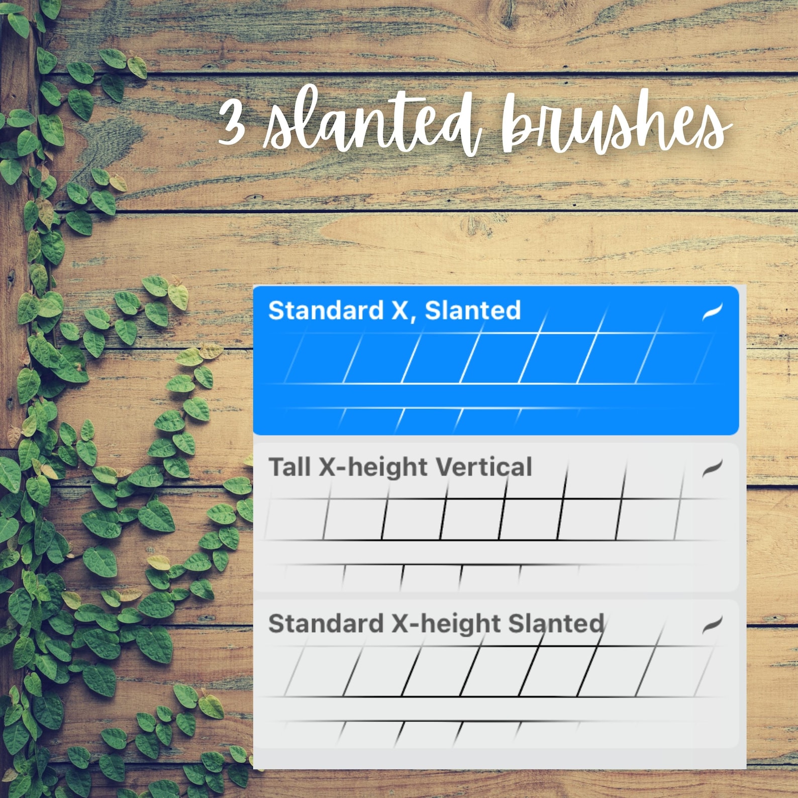 239 Lettering Grids Procreate Brushes. Includes Letter Builder, Word ...