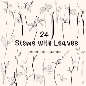 May include: A set of 24 black and white line drawings of stems with leaves. The drawings are labeled "24 Stems with Leaves" and "procreate stamps".