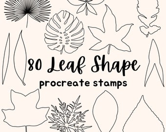 80 Botanist's Leaf Shape Procreate Stamps: Hand Drawn Line Art and Solid Leaves Procreate Brushes. Use As Drawing Guide, Coloring Page, etc