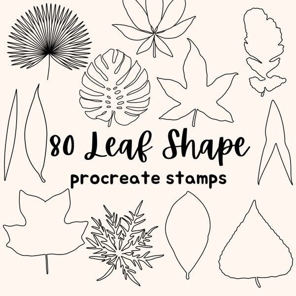 80 Botanist's Leaf Shape Procreate Stamps: Hand Drawn Line Art and Solid Leaves Procreate Brushes. Use As Drawing Guide, Coloring Page, etc