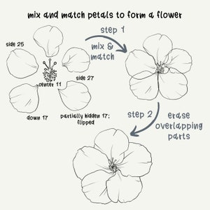 141 Procreate Stamps Build a Flower Toolkit Procreate Bundle: 30 Flower ...