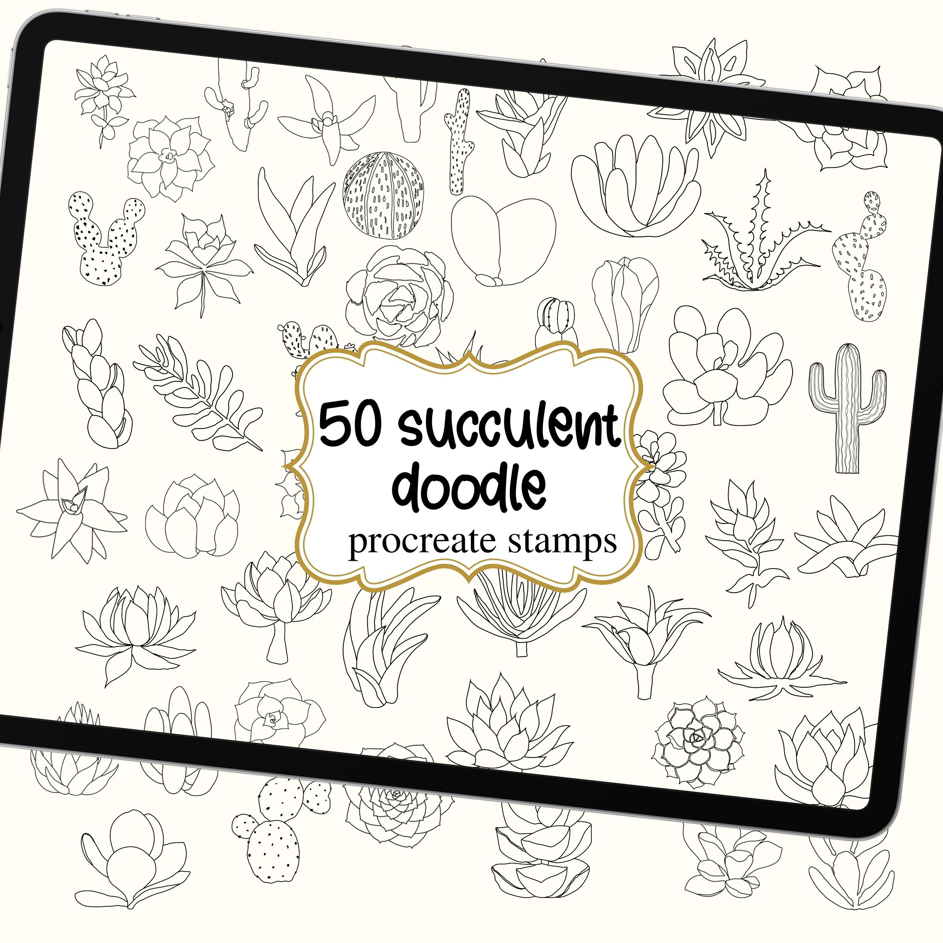 50 Succulent Doodle Procreate Stamps. Cactus Brushes Procreate Cacti ...