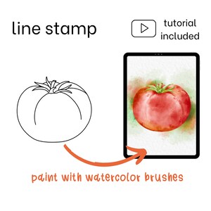 407 Fruits Veggies Procreate Stamps. Fruit & Vegetable Guides in ...