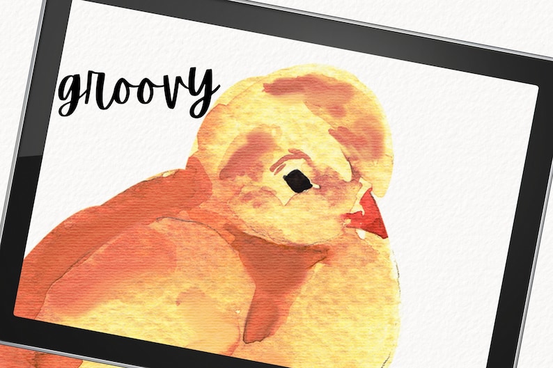 May include: A watercolor painting of a yellow chick with red accents. The chick is facing to the left and the word "groovy" is written in black cursive above the chick.