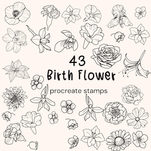 May include: A set of 43 black and white line drawings of various flowers, labeled "Birth Flower" and "procreate stamps".