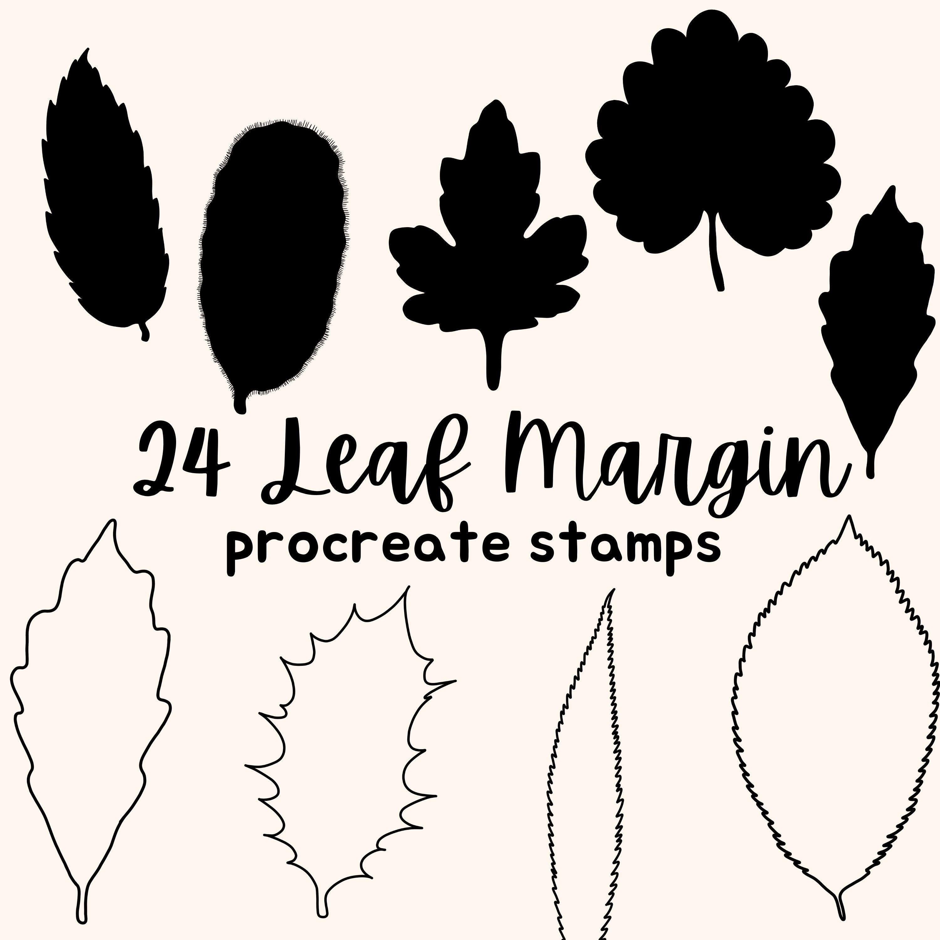 24 Botanist's Leaf Margin Procreate Stamps: Line and Silhouette Leaf Procreate Brushes. Ivy Chestnut Elm Magnolia Black Cherry White Willow