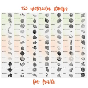 407 Fruits Veggies Procreate Stamps. Fruit & Vegetable Guides in ...