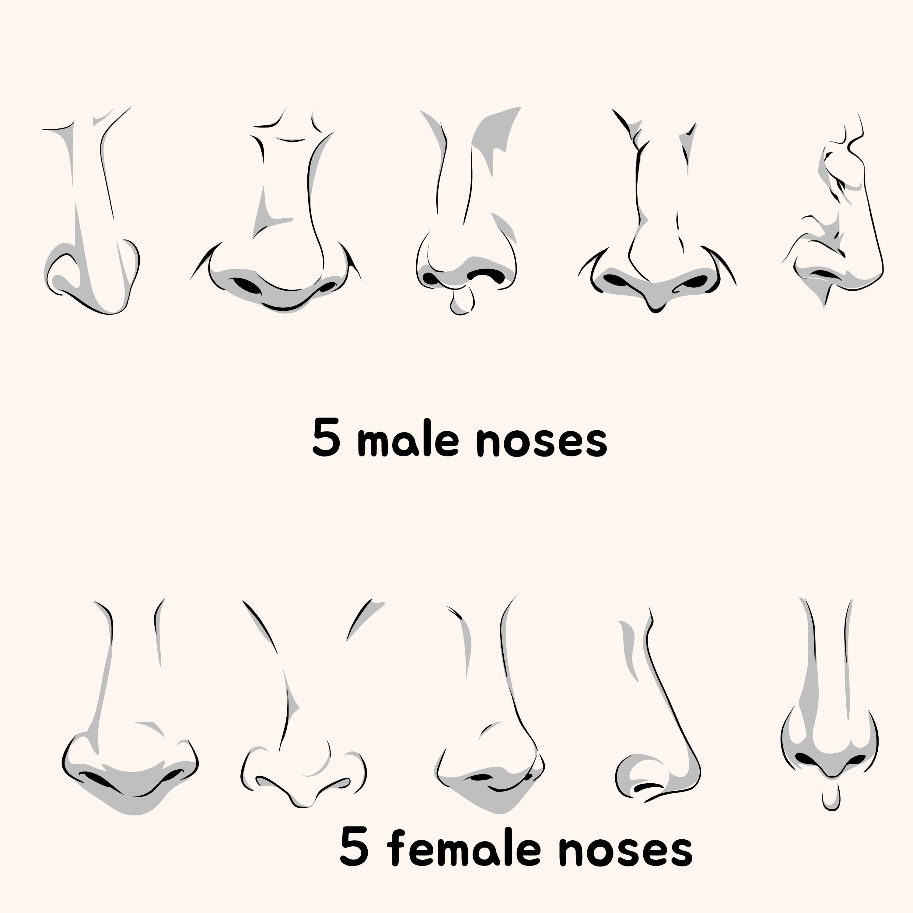 50 Effortless Nose Procreate Stamps. Noses for Men Women Etsy UK