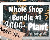 3000 Plant Procreate Bundle Watercolor, Sketch and Cutout Flowers and Foliage Procreate Stamps and Procreate Palettes. Tropical Leaves etc