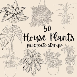 50 kamerplanten maken postzegels voort. Hand getrokken plant lijntekeningen. Alocasia Palm Groenblijvende Slangenplant Monstera Anthurium Maranta Bananenboomlelie