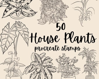50 timbres de procréation de plantes d'intérieur. Dessin au trait végétal dessiné à la main. Alocasia Palm Evergreen Serpent Plante Monstera Anthurium Maranta Bananier Lys